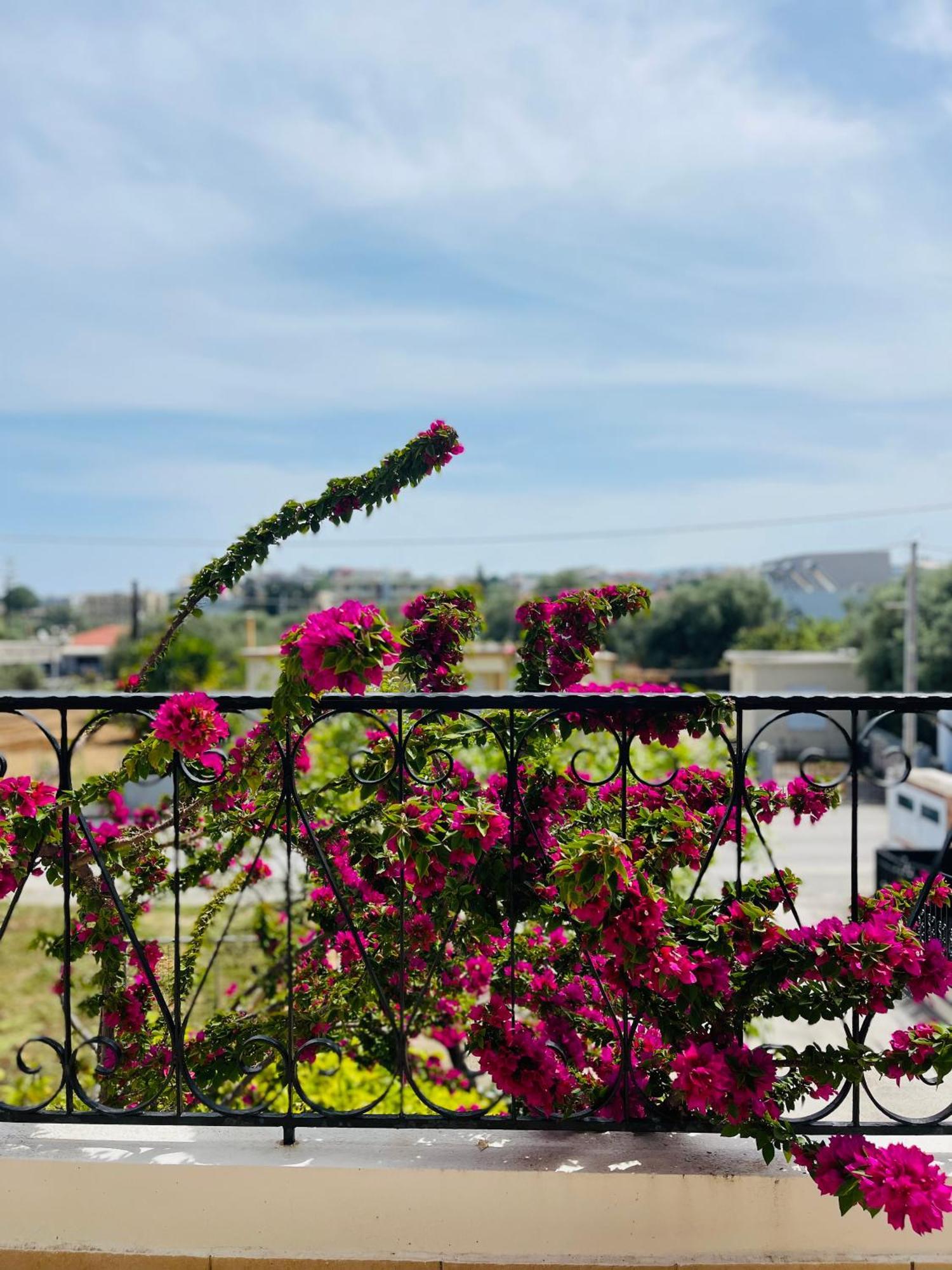 Thea Artemis Kato Daratso Exterior foto